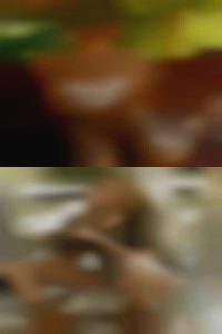 Michigan milf hang want to have sex fat girls that out!